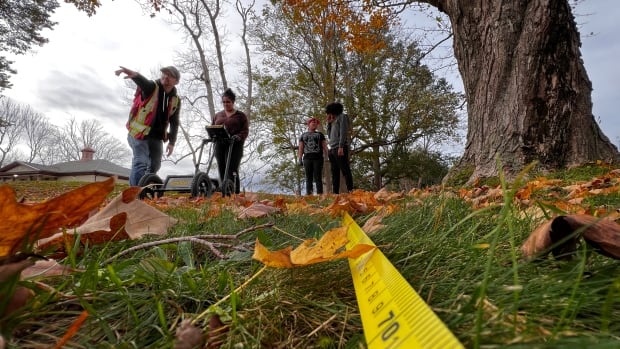 Group searches for potential unmarked graves of Black Loyalists in Annapolis Royal