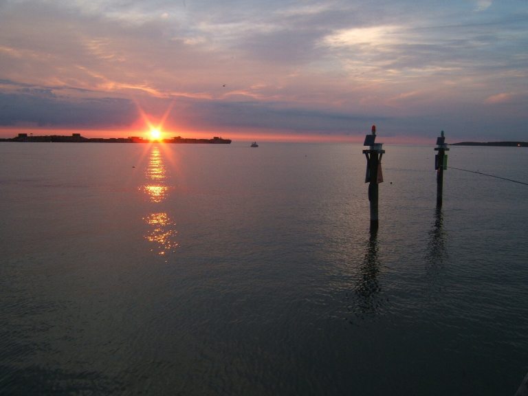 Scientists study mysterious invader in the Chesapeake Bay’s largest underwater grass bed