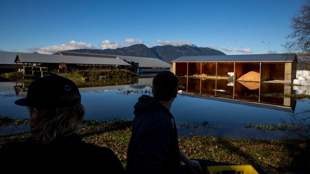 Ottawa should help B.C. create better flood relief plan, Senate report finds