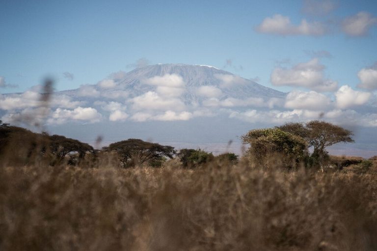 Mount Kilimanjaro fire under control: Tanzania authorities