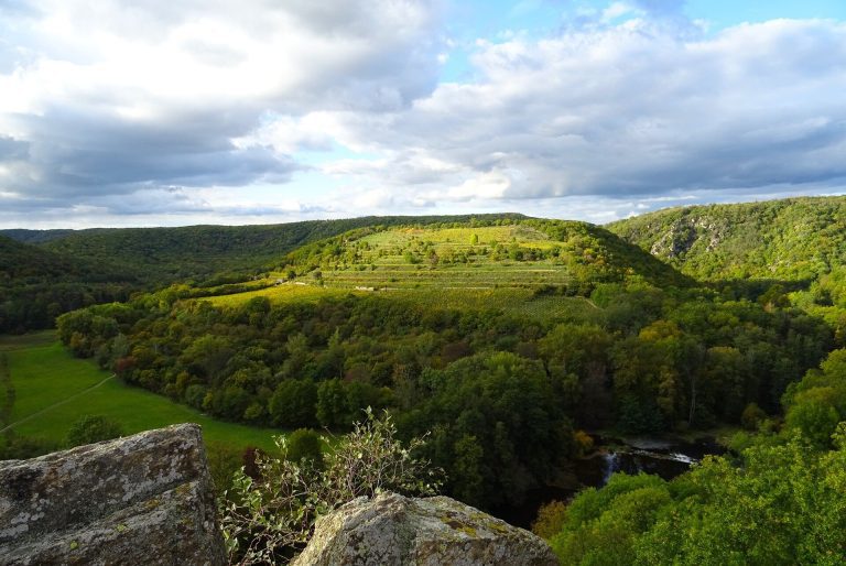 New nature preserves need huge boost in staff, resources: study