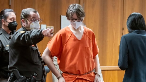 Michigan teen pleads guilty to terrorism, other charges in deadly school shooting