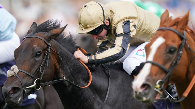 Today on Sky Sports Racing: Futurity weekend kicks off with competitive Doncaster action | Racing News