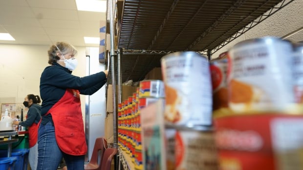 Food bank usage across Canada hit all-time high, report says