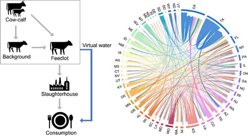 Researchers develop a framework to understand water use in beef supply chains from production to consumption