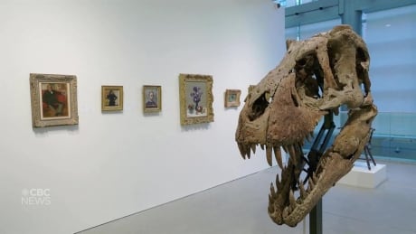 'Maximus' the T. Rex skull going up for auction