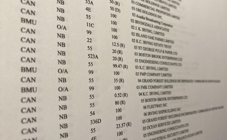 An image of a paper showing companies from a database, with some companies listed as "CAN" for Canada and "BMU" for Bermuda. 