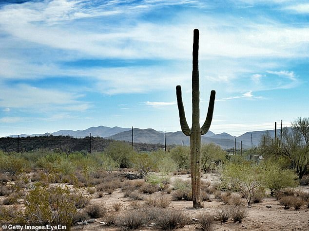 Arizona gets about 36 percent of its total water supply from the Colorado River