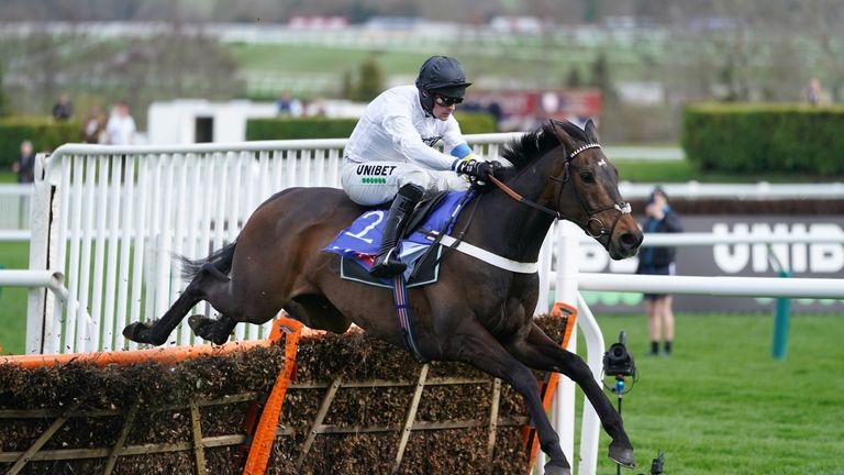 Constitution Hill clears the last in the Supreme Novices&#39; Hurdle at the Cheltenham Festival