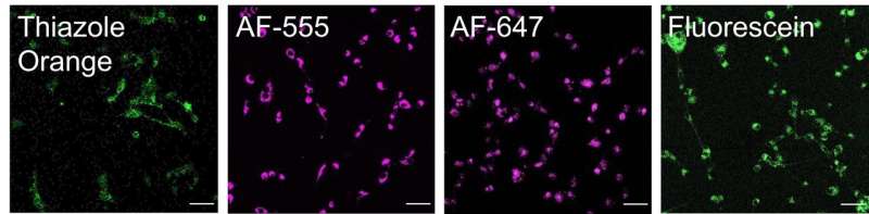 Injections for diabetes, cancer could become unnecessary