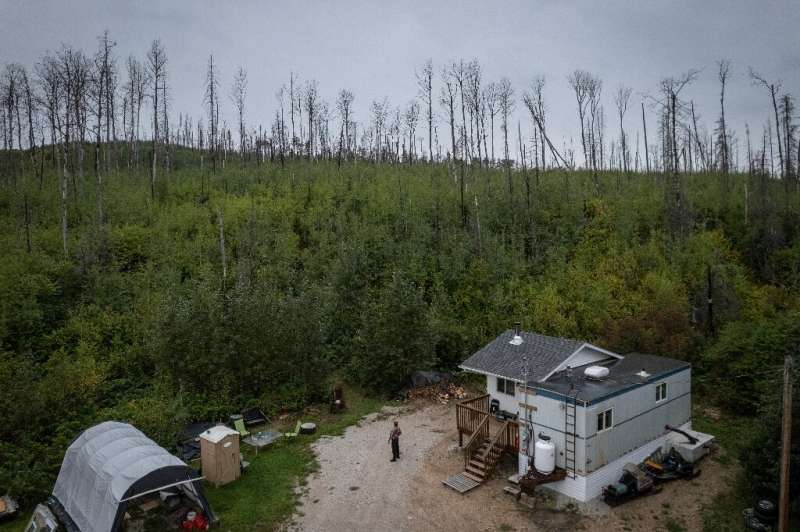 Harvey Sykes lost his home in the Fort McMurray wildfire in 2016; even today, dead trees dot the landscape where he rebuilt his 