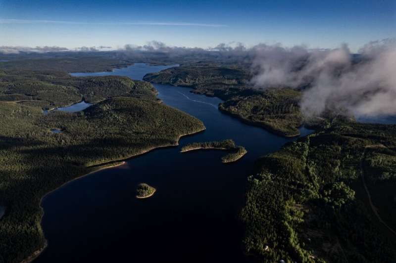 Scientists are pondering whether the boreal forest is approaching a so-called 'tipping point,' a threshold beyond which carbon a