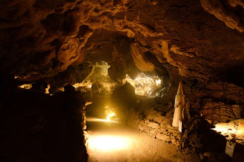 Knowledge is power: How can we make cave tourism more environmentally friendly?