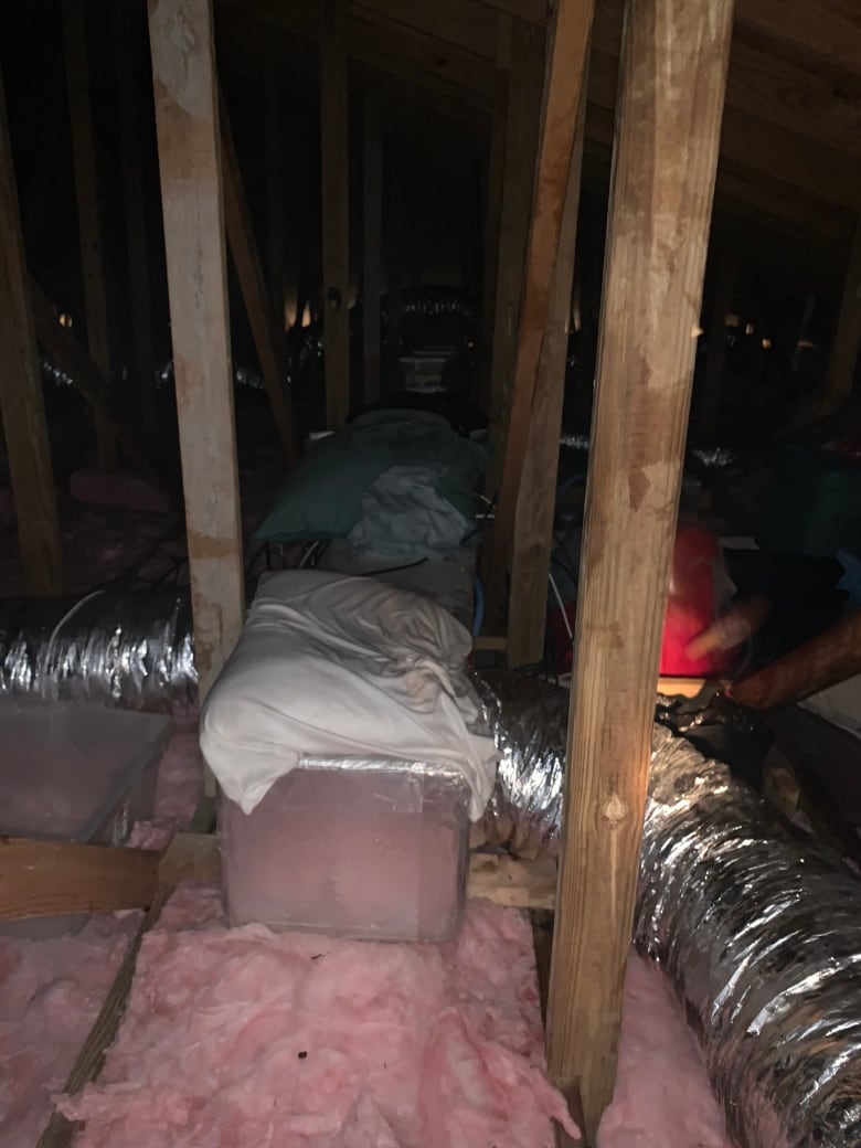 An attic with insulation.  