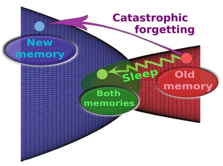 Artificial neural networks learn better when they spend time not learning at all