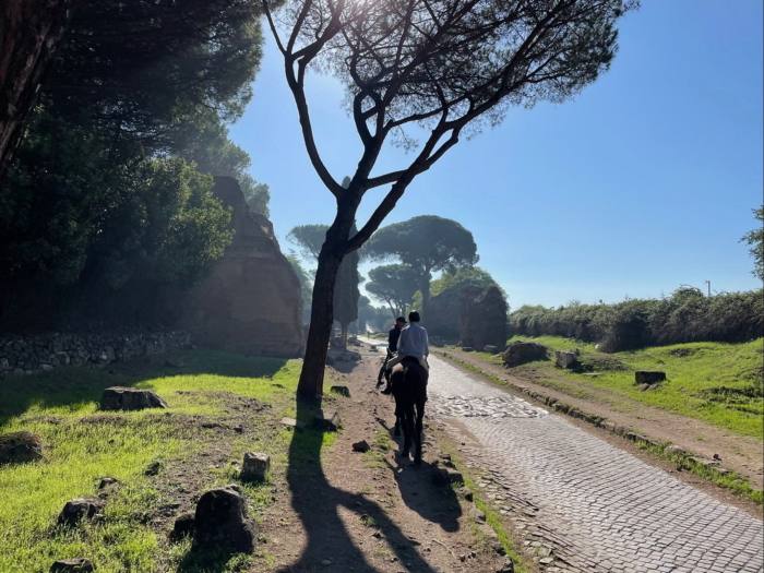 At some points, the Appian Way has ‘the charm of a landscape garden’ with cypresses and flat-headed pine trees 