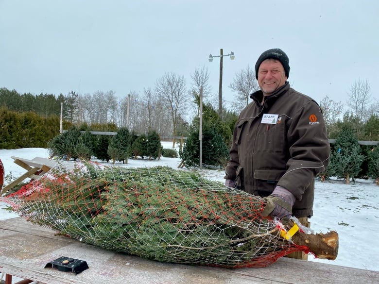 Individual in brown coveralls and black tuque standing beside a harvested Christmas tree,