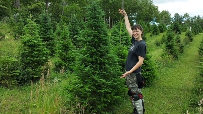 A young girl standing beside a pine tree with her arms extended to show how big it is. 