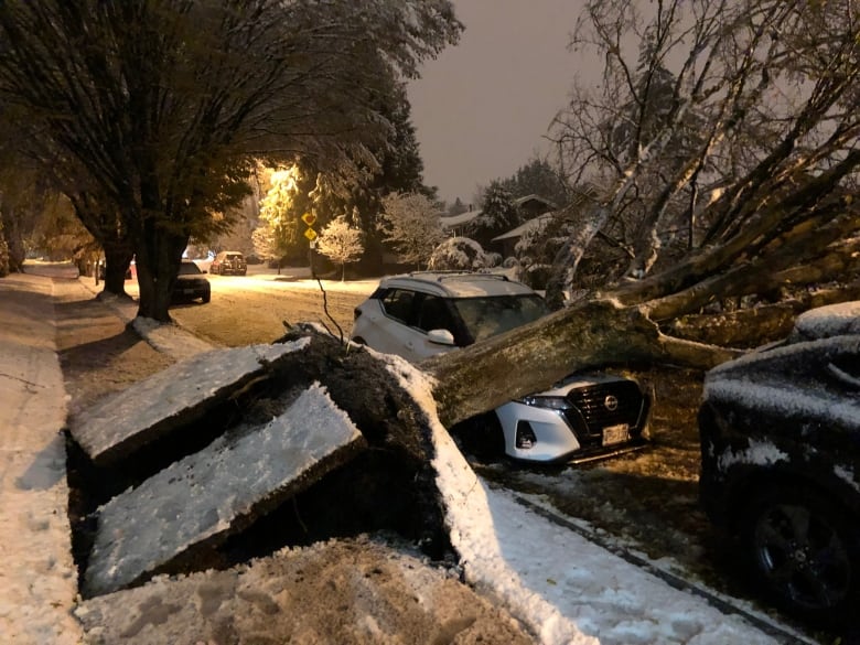 An uprooted tree on top of a white car in a snowy street at night.