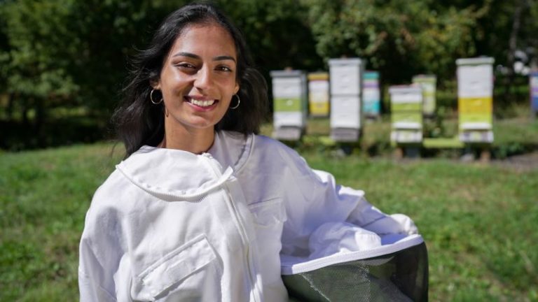 How an innovative hive entrance could help save bees