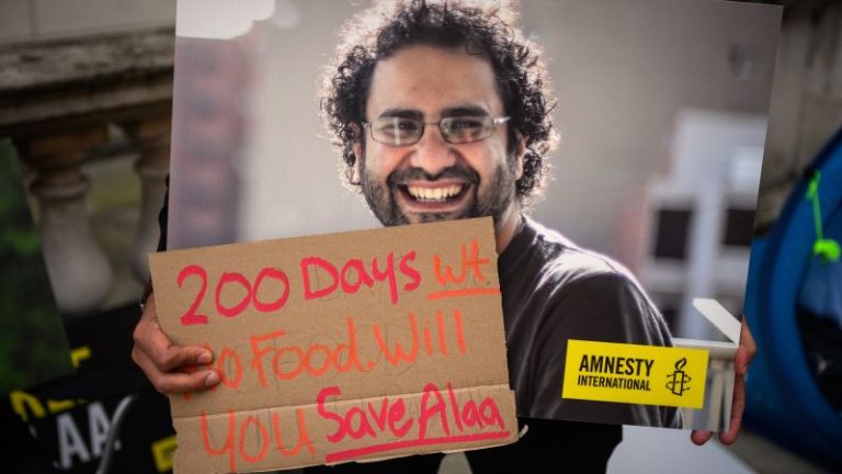 Hunger strike of jailed Egyptian-British activist may dominate the COP27 summit, Amnesty chief warns