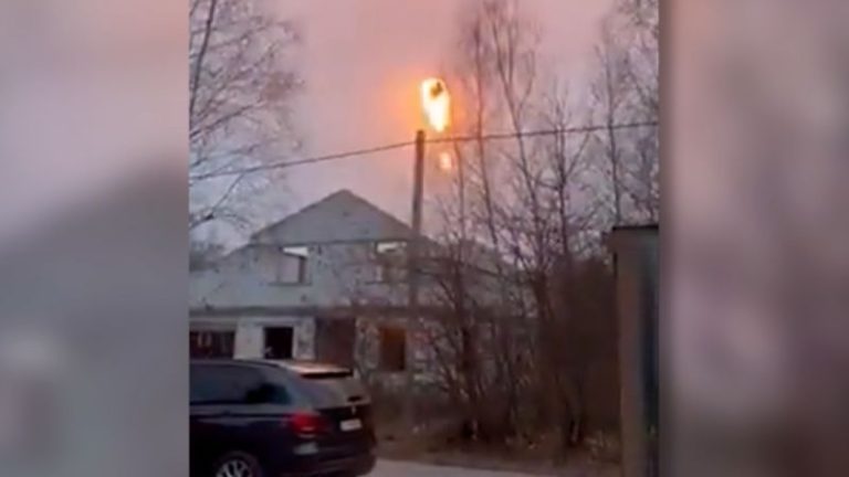 Video appears to show cruise missile shot out of the sky over Ukraine