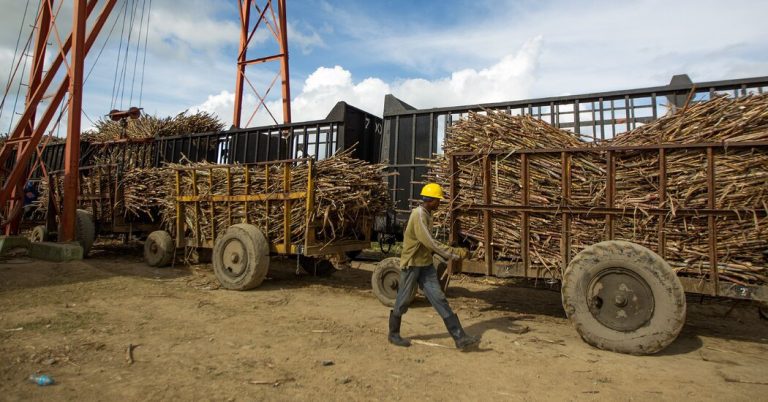 U.S. Blocks Dominican Republic Sugar Imports, Citing Forced Labor