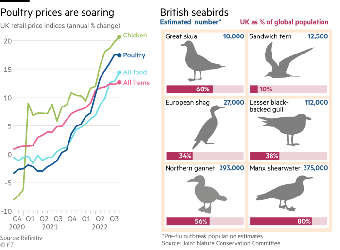 Lex charts showing how Britain’s poultry business is being hit and the toll on wild seabirds