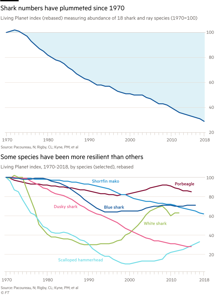 Lex graphics showing Shark numbers have plummeted since 1970 – Global Living Planet index (rebased) measuring abundance of 18 shark and ray species (1970=100)Some species have been more resilient than others – Global Living Planet index, 1970-2018, by species (selected), rebased