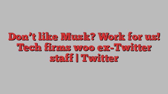 Don’t like Musk? Work for us! Tech firms woo ex-Twitter staff | Twitter