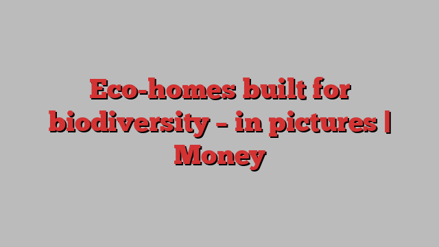 Eco-homes built for biodiversity – in pictures | Money