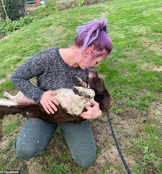 Family bid farewell to pet spaniel Maisie who was ‘found dead’ – but discover they buried wrong dog