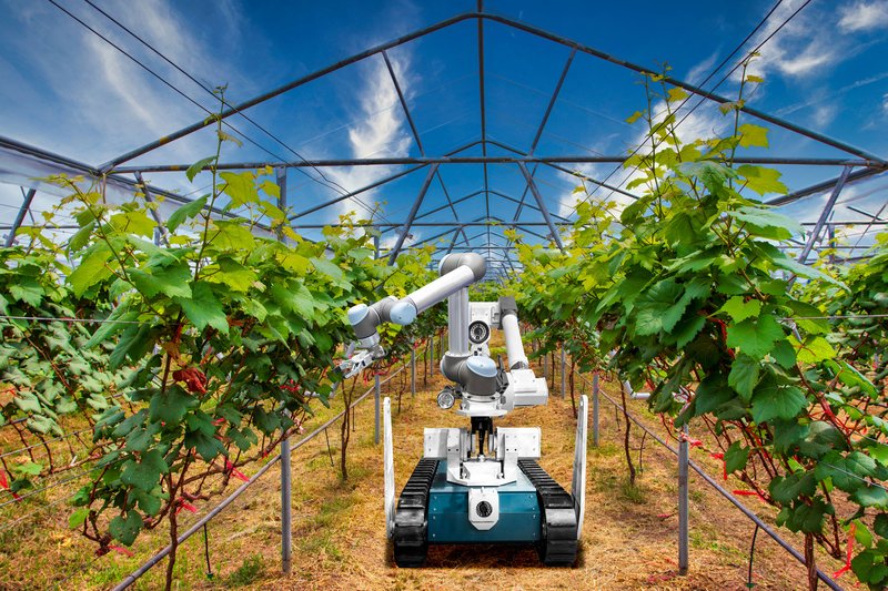 Farming Robot in Greenhouse