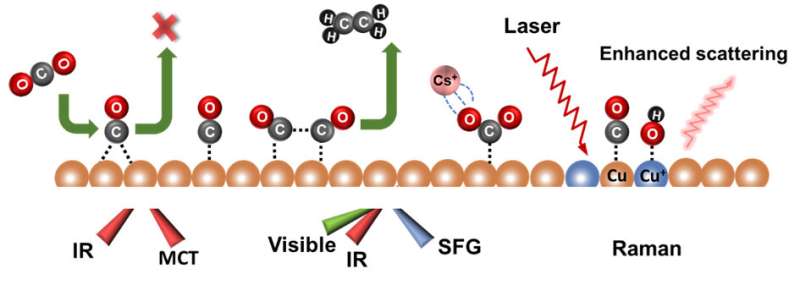 Fundamental aspects in CO2 electroreduction reaction tackled by vibrational spectroscopies