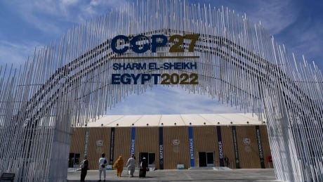 Global leaders to attend COP27 climate summit in Egypt