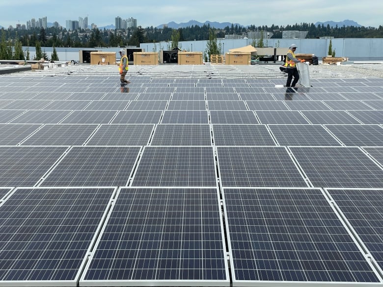 A sea of solar panels stretches towards the horizon, with a few workers in safety vests seen.