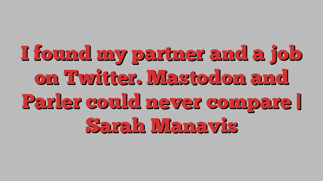 I found my partner and a job on Twitter. Mastodon and Parler could never compare | Sarah Manavis