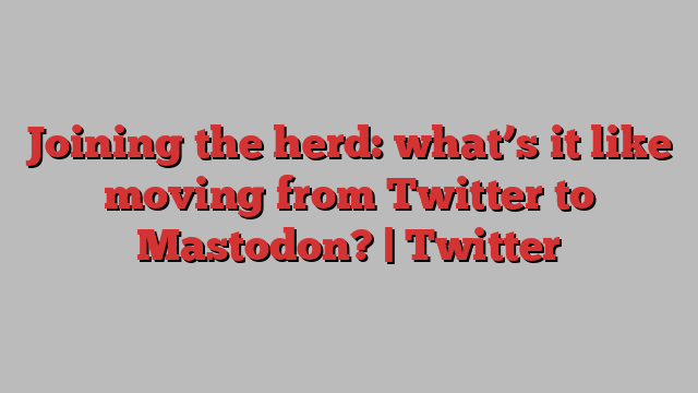 Joining the herd: what’s it like moving from Twitter to Mastodon? | Twitter