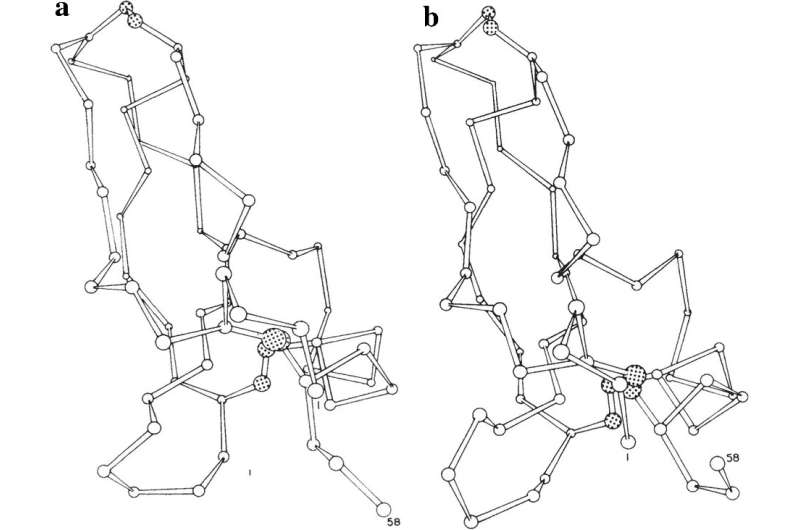 Legacy of a molecular dynamics trailblazer: Computer simulations meet biochemistry