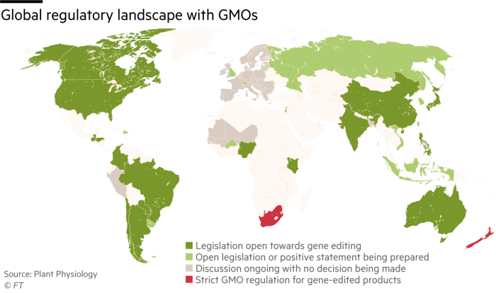 Global regulatory landscape with GMOs