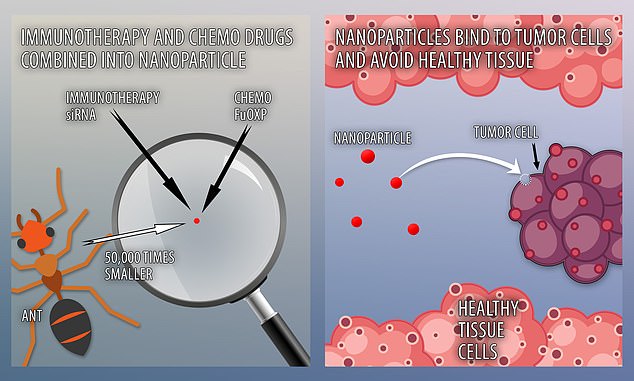 Potential cancer breakthrough as scientists develop ‘nanodrug’ that delivers chemo to tumors 