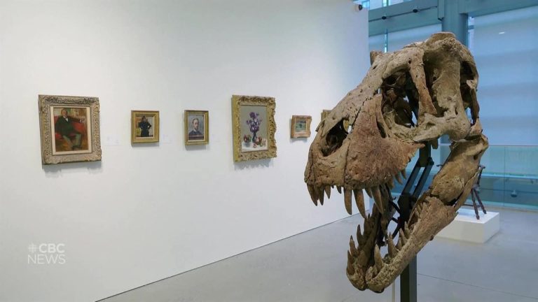 'Maximus' the T. Rex skull going up for auction