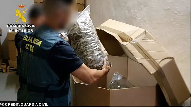 Spanish police seize more than £57m of marijuana and arrest 20 selling drug across Europe