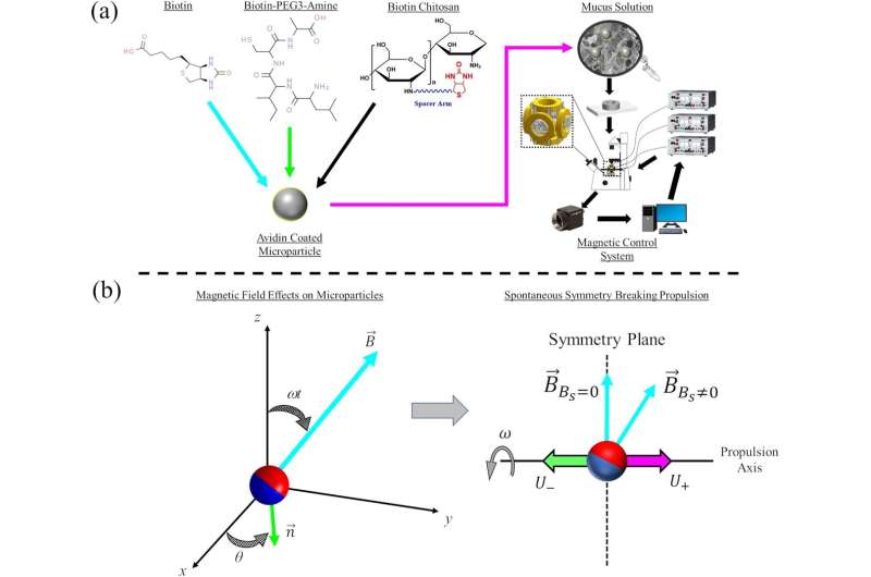 Study shows chemical coatings can affect microparticles 'swimming' in mucus solutions