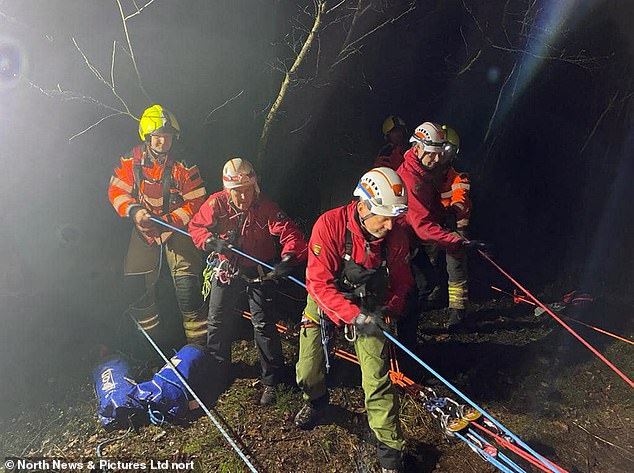 Three-hour mission launched to save dog who fell down 50-ft ravine while chasing a squirrel 