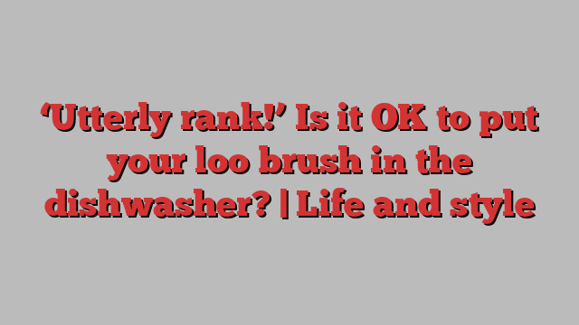 ‘Utterly rank!’ Is it OK to put your loo brush in the dishwasher? | Life and style