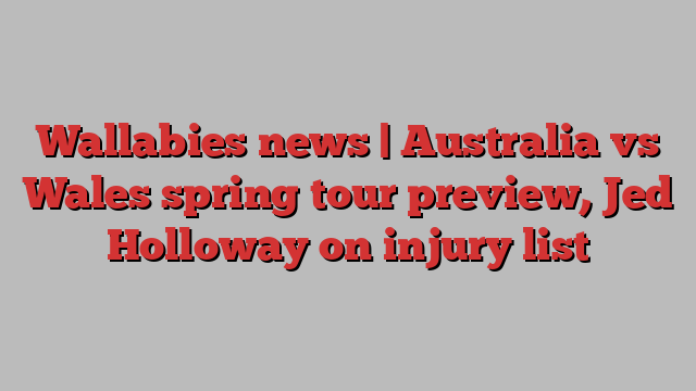 Wallabies news | Australia vs Wales spring tour preview, Jed Holloway on injury list