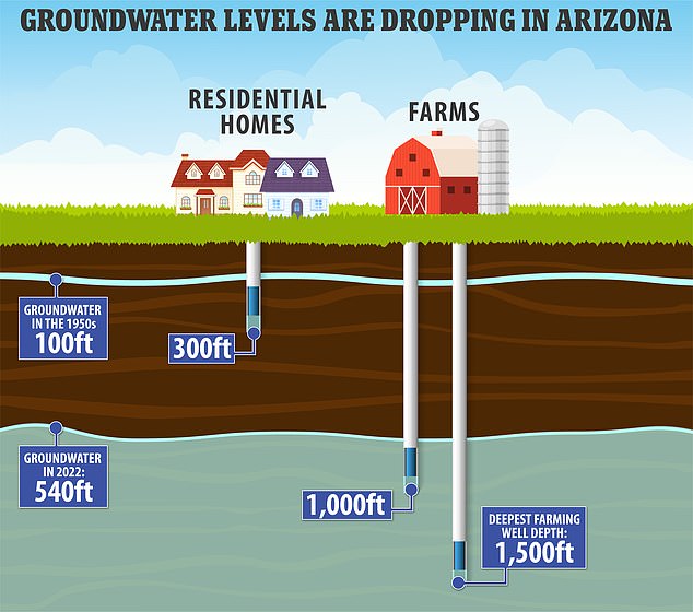 Water is drying up in Arizona because foreign owned megafarms are sucking it up for their crops