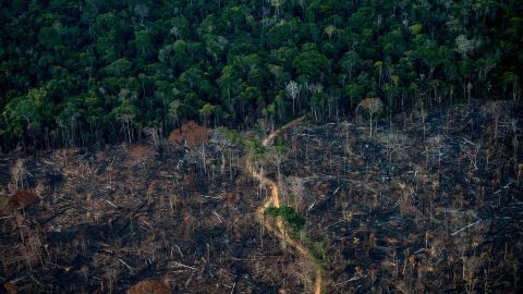 A deforested area of the Amazon rainforest in 2021. The Amazon stores human-caused carbon emissions in plants. But researchers say this carbon sink is threatened because of deforestation.