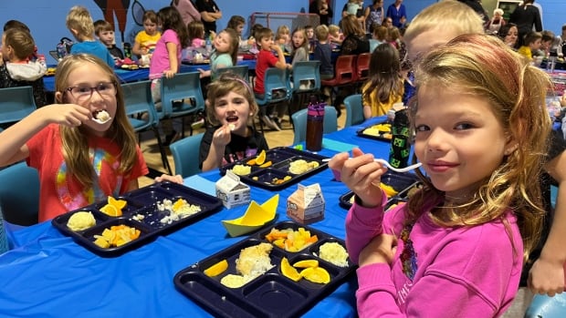 Think it’s easy to get fish on the lunch menu at a Newfoundland school? Think again